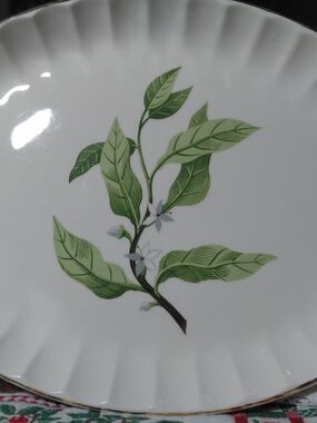 1950's W.S George Bolero 22kt Gold Scalloped Rim Serving Platter orange blossom